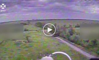 Знищено 2 танки, 3 ББМ, серед яких -Тигр, 3 БМП, бронетранспортер, 2 гаубиці та гармата МТ-12 Рапіра