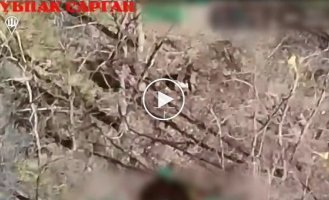 Окупант б'є свого соратника, а потім гине від удару українського дрона