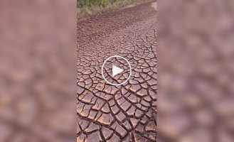 Красивое и удивительное (короткие видео). Выпуск 64