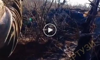 Ukrainian soldier shot down an enemy drone with small arms