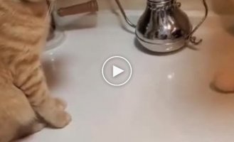 Не смог удержаться