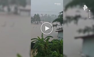 Сотни змей сбежали с фермы в Китае из-за наводнения