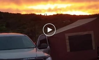 A man accidentally filmed kangaroos fighting against the backdrop of a fiery sunset