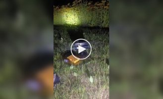 Система ПВО против комаров