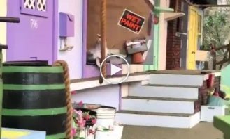 Забавный стенд для животных, которые своей игрой развлекают гостей