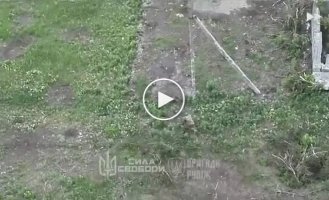 An occupier crawls away from a Ukrainian drone on all fours and dies after reaching shelter