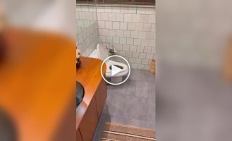 Змея забралась в унитаз в Таиланде