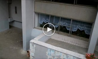 Parkour 2013 - The Only Way (HD)