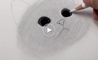 Unusual way to draw a cat