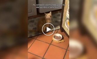 Fluffy olive oil lover