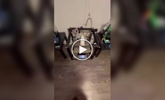 Engineer 3D-prints vacuum cleaner attachment in the form of a capybara with an open mouth