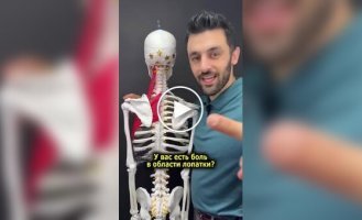 Як прибрати біль у лопатках і позбутися головного болю