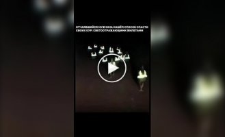 Цыпочки в жилетах вызвали переполох в Испании