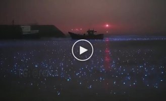 Rain over a bioluminescent bay in Puerto Rico