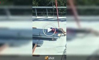 Заснул на стройке и получил очень бодрое пробуждение