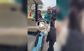 В зоопарке пеликан попытался проглотить руку женщины