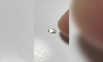 Не весь рис, который вы ели, мог быть настоящим