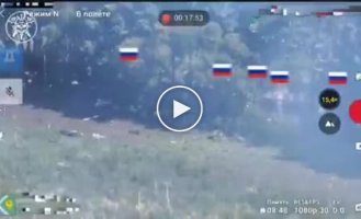 Дроны-камикадзе до смерти загоняли в перелеске штурмовую группу из пяти оккупантов