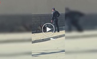Полицейский встретил девушку в неадекватном состоянии на обочине дороги