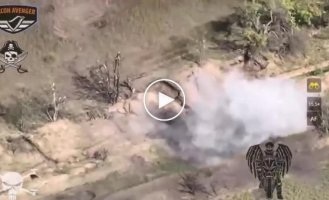 Ukrainian FPV drones attack Russian infantry in the Zaporozhye direction