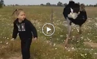 A girl and an ostrich performed a funny dance in South Africa