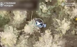 In the Kupyansk direction, border guards hit two enemy dugouts from a drone