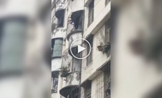 В Китае засняли медведя, карабкающегося по жилому дому