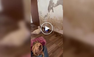 Що відбувається в цьому будинку