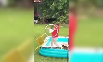 Белки атакуют