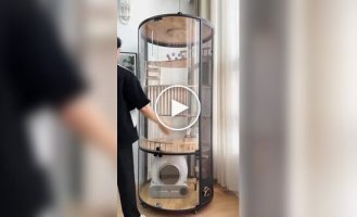 Квартира для котов