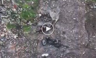 Дорога смерті в Торецьку: окупанти кидають штурмовиків в атаки на мотоциклах, їх накачують психотропами