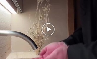 Ресторанні туалети ставлять багатьох людей у ​​глухий кут