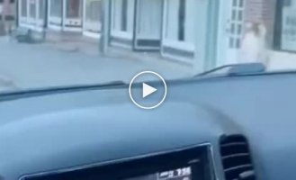 Эволюция собак. Начало