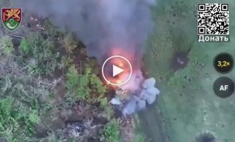 На Новопавловском направлении ВСУ уничтожили штурм бронетехники РФ с помощью артиллерии и дронов, - ОСГВ Хортиця