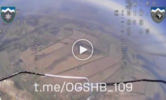 Бойцы 10 ОГШБр впервые сбили FPV-дроном вражеский беспилотник Мерлин-ВР