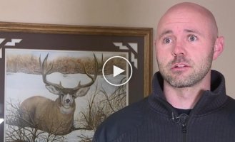 Закусочная для оленей женщина получила штраф за кормление животных