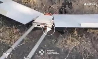 Сили оборони знищили ворожі БПЛА Zala, Блискавка, а також FPV-дрони окупантів на Харківщині