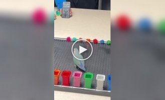 A parrot got into the Guinness Book of Records thanks to its ability to distinguish colors
