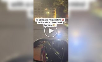 Робопес заговорил с полицейским с индийским акцентом