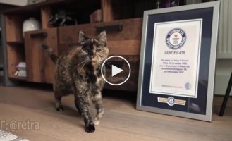 Flossy is the oldest living cat