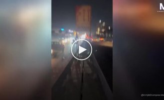 Водитель спас застрявшую в щели моста котенка