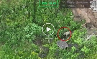 У Сумській області спецназівці СЗГ знищили російського квадробера прямо в його укритті