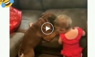 Dog and child have a common problem