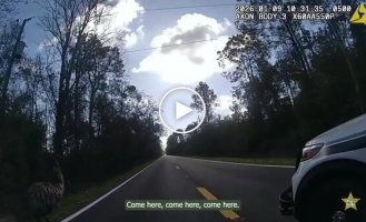 На того, хто втік, наділи наручники