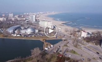 A seagull crashed into a drone in Romania