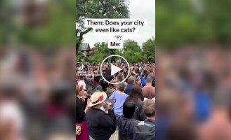 In Minneapolis, the annual Cat Tour was held, where people with posters asked residents to show cats out the window