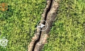 Lugansk region, Ukrainian drone drops ammunition into a trench to a Russian military