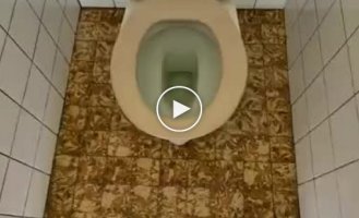 The best toilet in the world has been found!