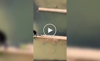 Рыбак с позывным везунчик
