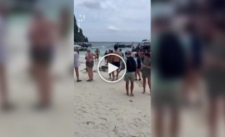 In Thailand, monkeys attacked tourists on the beach